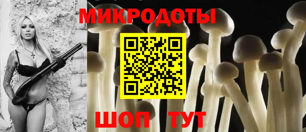 Донской  Галлюциногенные грибы мицелий  Галлюциногенные грибы Psilocybe  Вход с VPN 